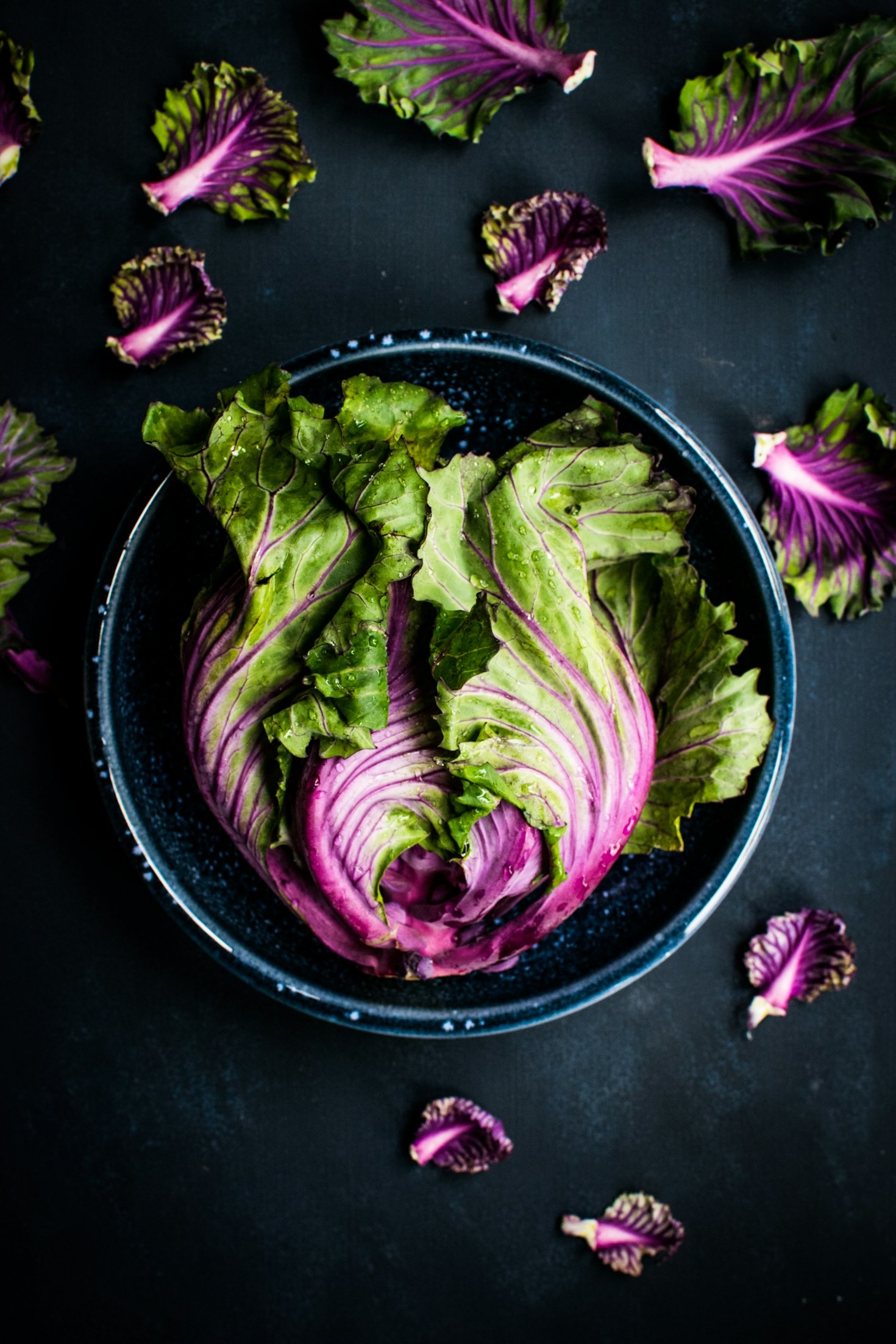 Understanding the Nutritional Value of Organic Products